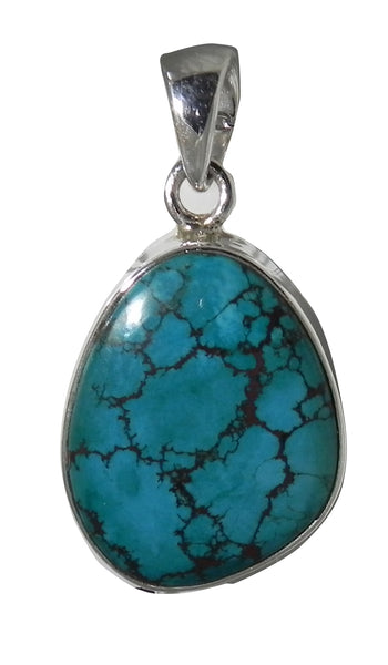 Oblong Turquoise Pendent in Sterling Silver Setting