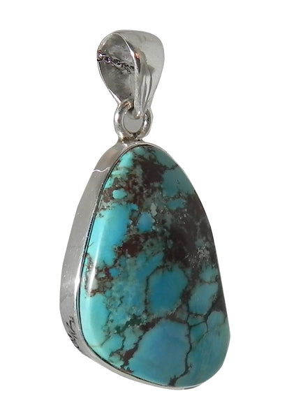Oblong Turquoise Pendent in Sterling Silver Setting