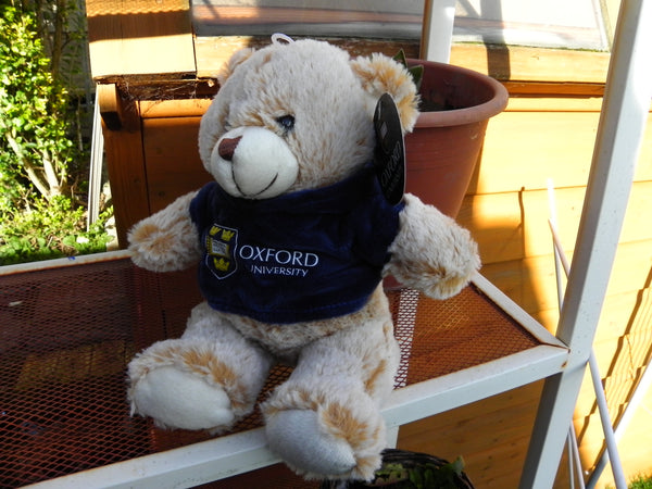 Oxford University 20cm Bear Soft Toy - Oxford Souvenir