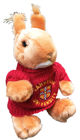 Cambridge University Soft Toy - Rufus Squirrel with Cambridge University Sweater - Official Licenced product